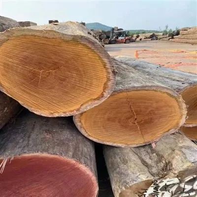 Обработанные бревна лиственных пород